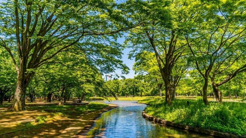 駅から徒歩5分圏内！？東京都内で森林浴！鎮守の森・代々木公園ならアクセス良好