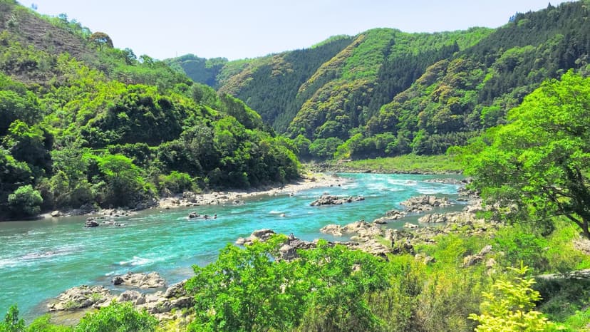 【2025年四国・中国の桜名所5選】人混みを気にしないお花見のおすすめ名所！