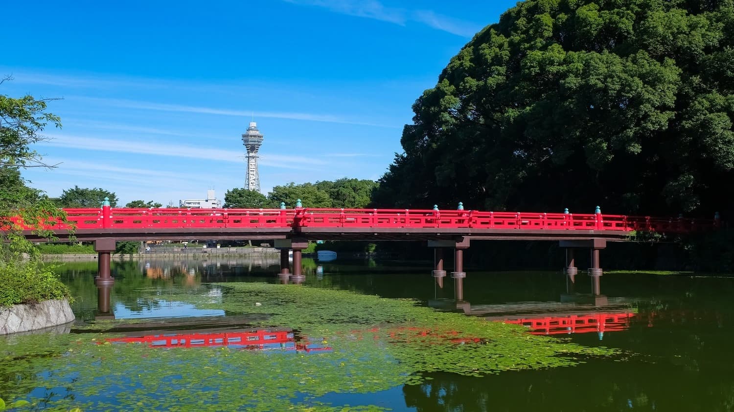 Cover Image for 【大阪の森林浴8選】都心から身近にある森林へ1時間前後で気軽にアクセス！！