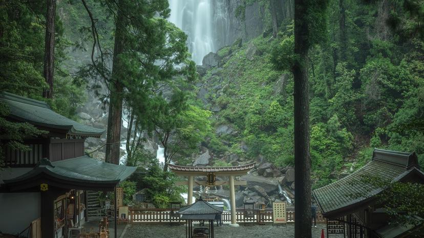 【近畿・関西の森林浴の森100選】簡単アクセス近場の森林浴場14箇所を紹介！