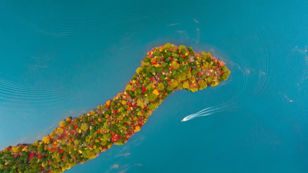 Cover Image for 【実は自然の魅力満載！】東京からアクセスしやすい栃木県の絶景・観光スポット徹底紹介