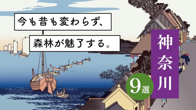 神奈川｜森林浴9選！車はいりません！！森林の穴場へ足を運んでみましょう。