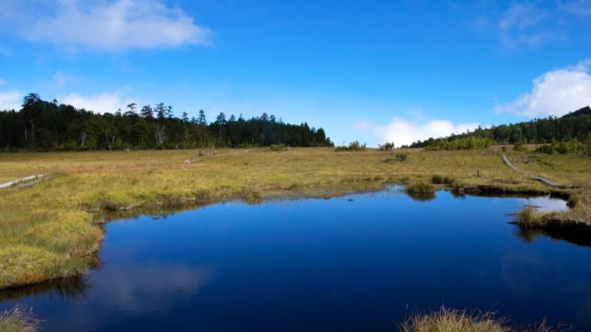 【栃木日光で登山なら】天空湿原「鬼怒沼」と秘境温泉！ハイキングのあとは秘湯で癒される