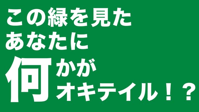 森林浴の驚くべき効果！緑の光とフィトンチッドがもたらす恩恵