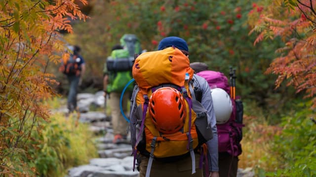 トレッキングと登山の違いとは？ハイキングとウォーキングは一緒ではない